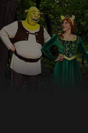 A dimmed image of one of our made by us costumes